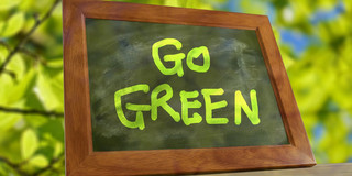 Symbol Picture frame with green lettering "Go Green" in front of leafy branches in the background